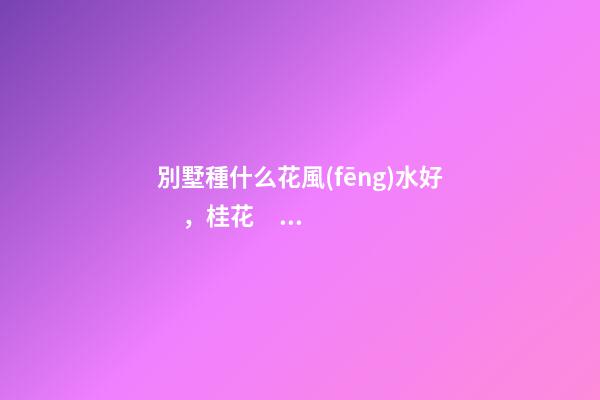 別墅種什么花風(fēng)水好，桂花、海棠、梅花、菊花